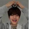 z.sphynx_official