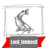 lecil_lelekecil