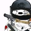 crxgnb