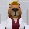 capi_dev