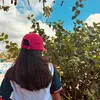 alicevelozoo_