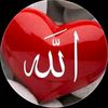 user2374828722661