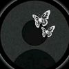 user94817244518248