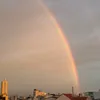 cunggiamcanvoituinha