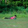bejok_deso81