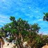 setu.halder365