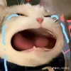 quangdeptrai62