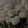 user5519620937727