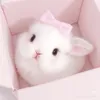 poyopoyo_otaku