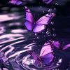 user3094619212702