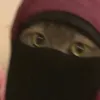.1433463