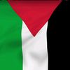 palestinaaa40