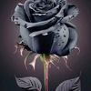 user530590686283