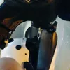vawnhuy01
