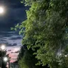 khaoulakhaoula0191