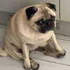 smallloafofbread