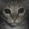 username860186848