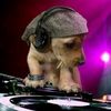 carlitos8079206111615