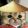 nanda_6464