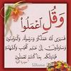 user24859206701296