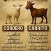 ultra.nuevo