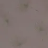 lam1112.com