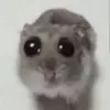 bausy27
