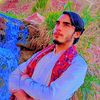 hayat..afridi113