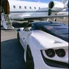 lifestyle8427