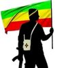 user75126701419450