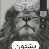 user4539061338165