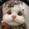 duaa_17p