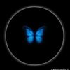 user18083391