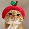 pet_channel.ericy