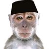 faisall_aja_oke