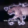 wild_world__love