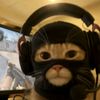 username77776666777