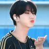 wonn_25184