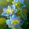 an.khang820