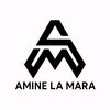 aminelamaradz05