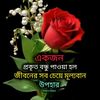 user9953600468294