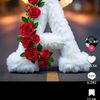 shagid12340