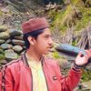 hafiz.tayyab09