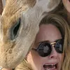 sosophiadkins
