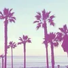 martina.117