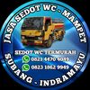 Sedot wc Subang indramayu