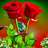 m.talha6311