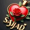 meer_sajjad24