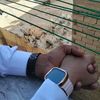 eman87055