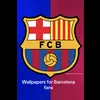 user71231458362428236